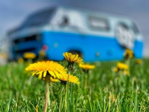 Auffrischung für den Frühling: Umgestaltung des Schlafzimmers für optimalen Schlafkomfort